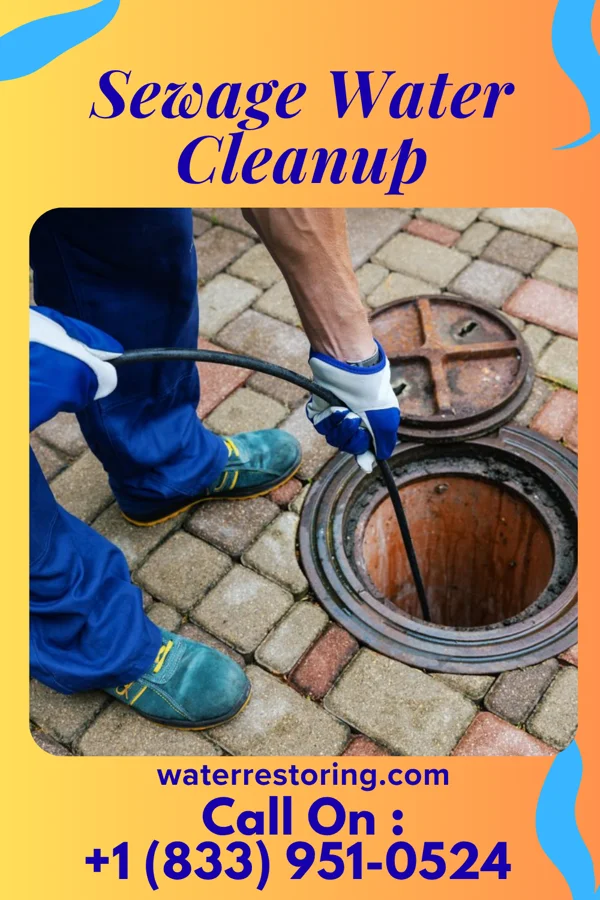 Sewage Water Cleanup in Coolidge, GA